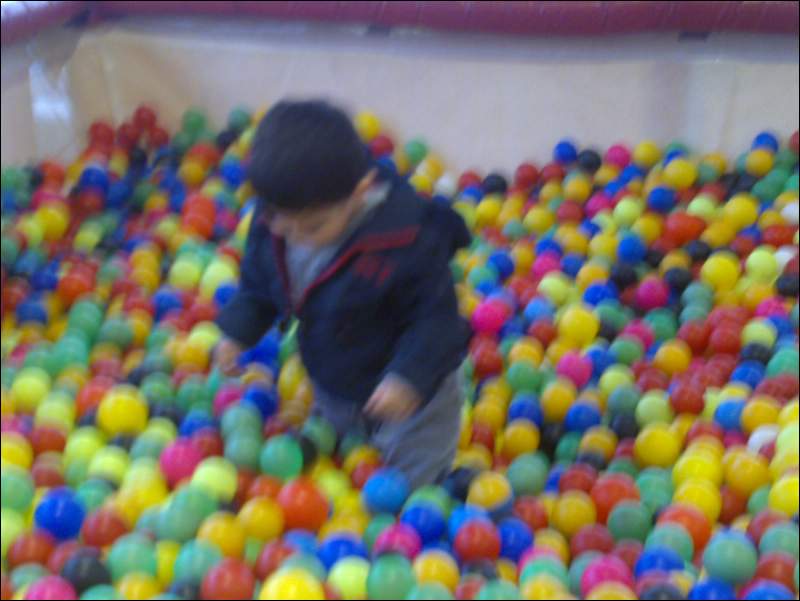 06042009218.jpg